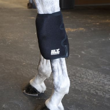 Ice Horse Knee Wrap kylmäyssuoja